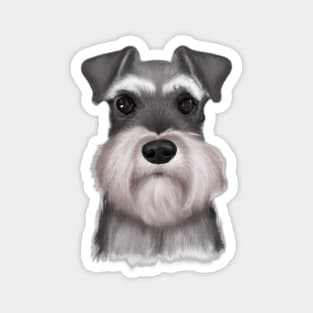 Cute Miniature Schnauzer Drawing Magnet