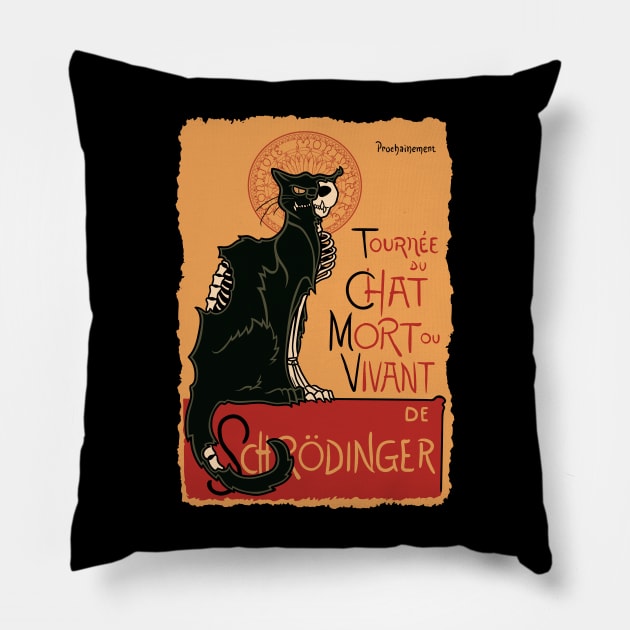 Le chat noir de Schrödinger Pillow by jasesa