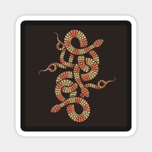 Snake Knot Chinese symbol of Good Fortune Emblem Magnet