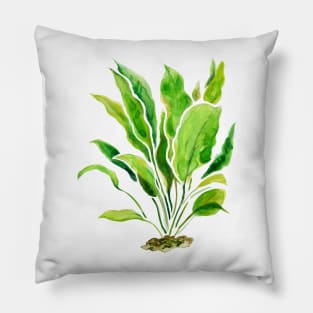 Aquarium Plants Series Amazon Sword Pillow