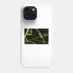 Monarch Caterpillar Phone Case