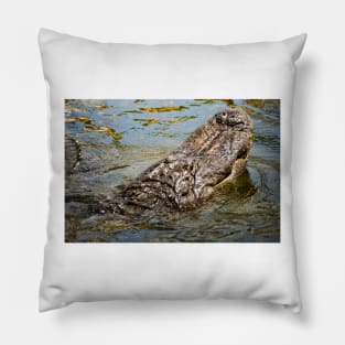 Emerging Gator Pillow