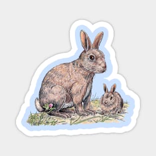 Rabbit Magnet