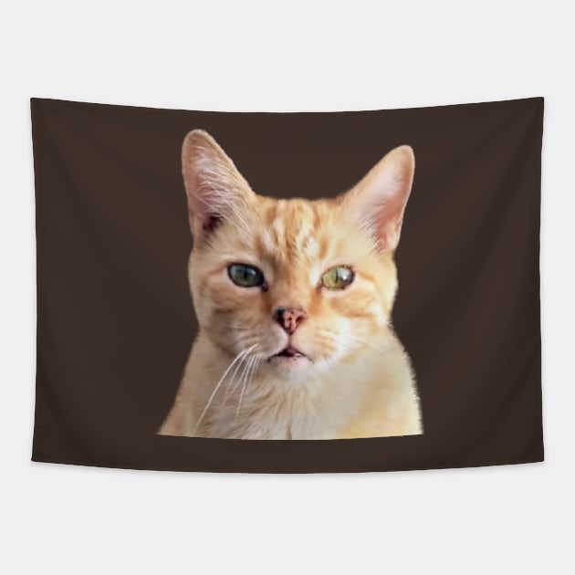 Ginger Cat Head Shot Tapestry by PLANTONE