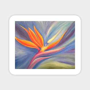 strelitzia Magnet