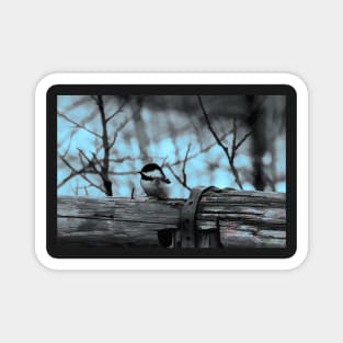 Chickadee on the fence illustration Magnet