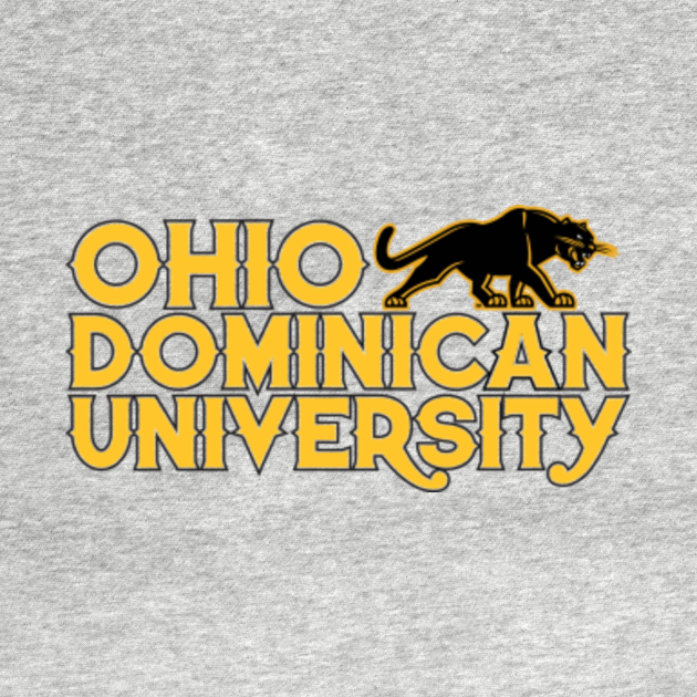 Discover Ohio Domincian University - Ohio Dominican Panthers - T-Shirt