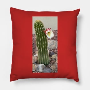 Cactus Flower Pillow