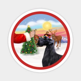 Santa Offers His Giant black Schnauzer a Treat Magnet