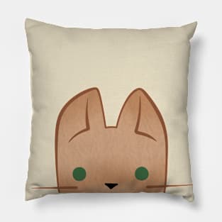 Peeking Cat Pillow
