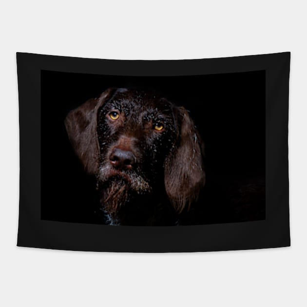 German Wirehaired Pointer Portrait Tapestry by heidiannemorris