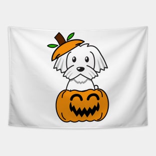 Funny white dog is in a pumpkin Tapestry