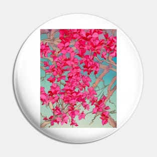 Bougainvilleas Pin