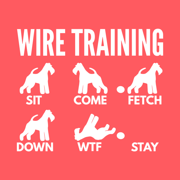 Wire Fox Terrier Training Boxer Dog Tricks by DoggyStyles