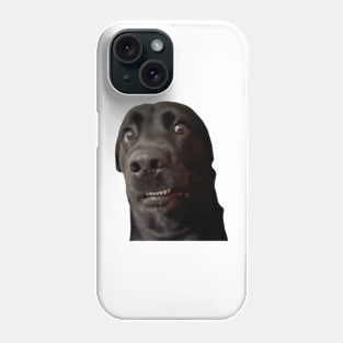 Confused Dogs Shirt, Awkward Dogs, Awkward Staring, Two Dogs Staring Matching Phone Case