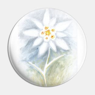 Leontopodium nivale or the  edelweiss flower Pin