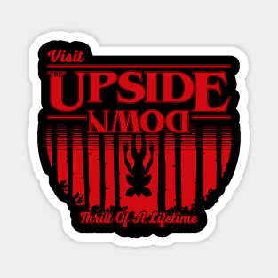 Visit Upside Down Magnet