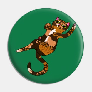 Playful Calico Cat Pin