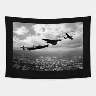 Avro Birds - Mono Tapestry