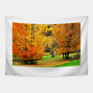 Grassy Autumn Road Tapestry