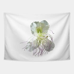 Caper flower Tapestry