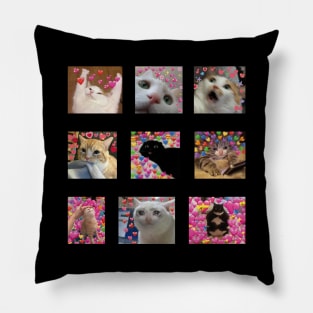 cute cat memes Pillow