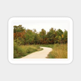 Nature Path No.2 Magnet