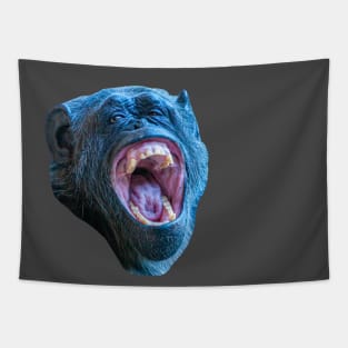 Chimpanzee Laugh Tapestry