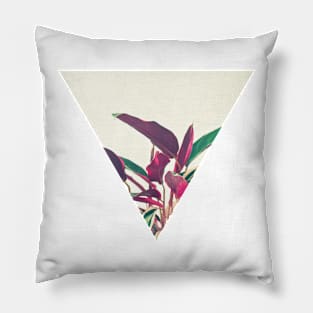 Prayer Plant Pillow