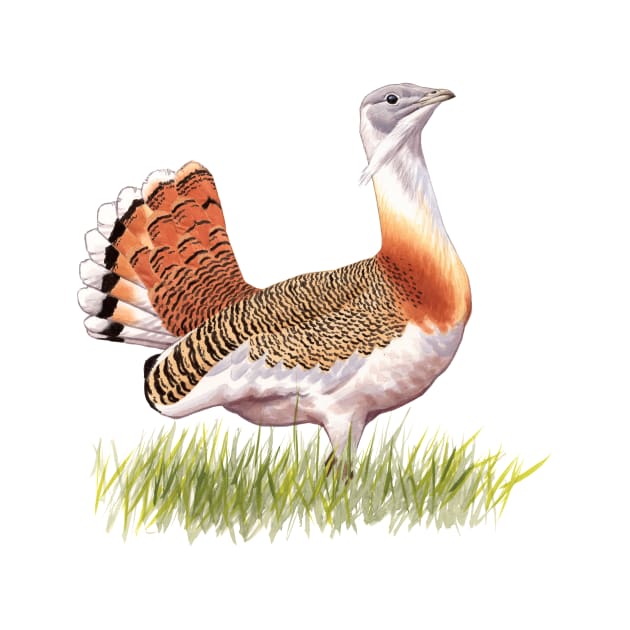 Great Bustard by kokayart