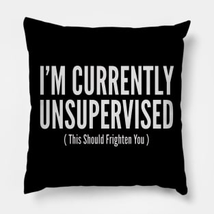 I'm Currently Unsupervised ( This Should Frighten YOu ) Pillow