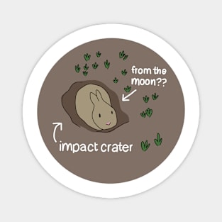 Impact Crater Bunny From The Moon Magnet