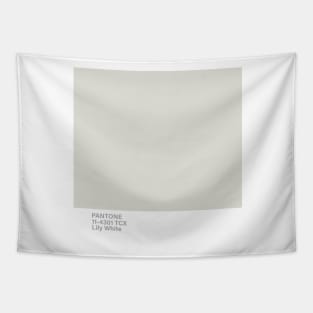 pantone 11-4301 TCX Lily White Tapestry