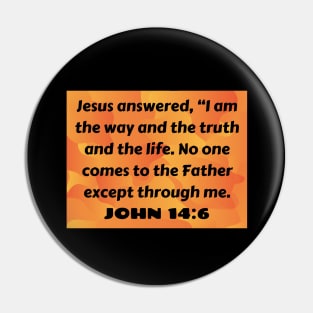 Bible Verse John 14:6 Pin