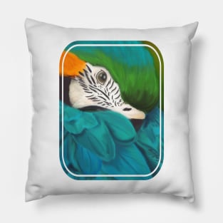 Blue and Gold Macaw Pillow