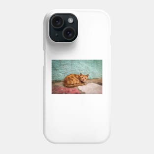 Cat orange Phone Case