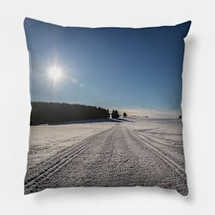 Winter Pillow