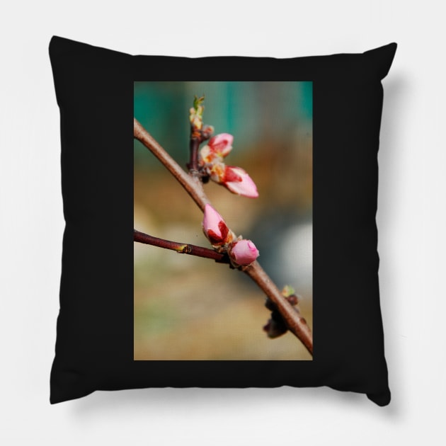 Almond Blossom Buds Pillow by jojobob