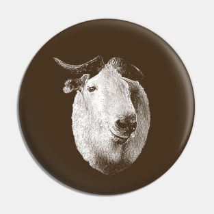 Takin-Gnu goat Pin