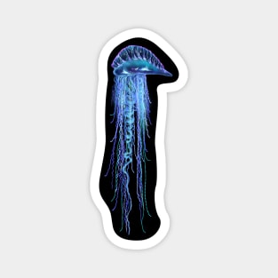 Portuguese man o' war jellyfish illustration Magnet