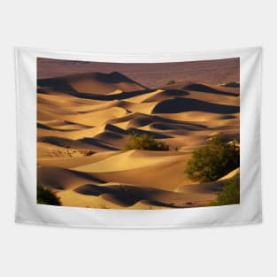 Sand Dunes Tapestry