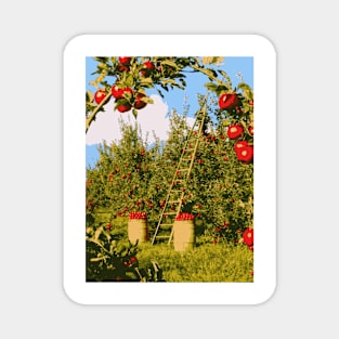 Red Orchard - Landscape Magnet