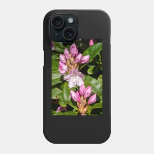 Rhododendron buds. Phone Case