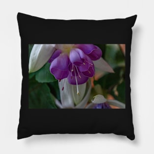 TULIP Pillow