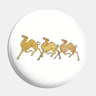 Camel print for summer in indian folk art phad art Pin