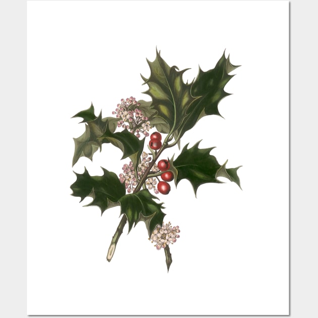 Vintage Christmas Holly Branch - Holly - Posters and Art Prints