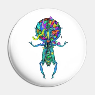 Spatial Beetle Multicolor Pin