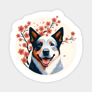 Australian Cattle Dog Celebrates Spring Cherry Blossoms Magnet