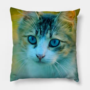 Cute kitten Pillow