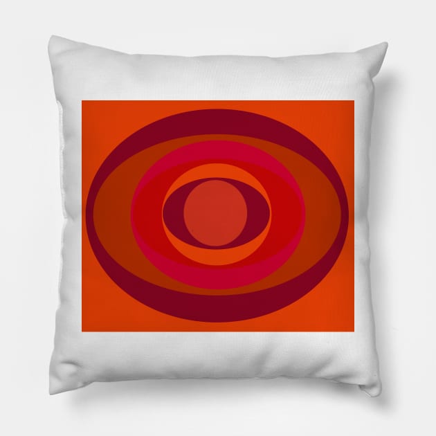 Extra Burnt Orange Pillow by Goodlucklara